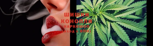 прущие грибы Кулебаки