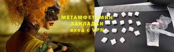 прущие грибы Кулебаки