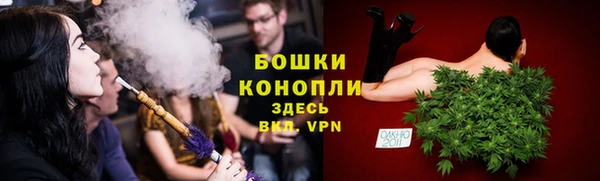 прущие грибы Кулебаки
