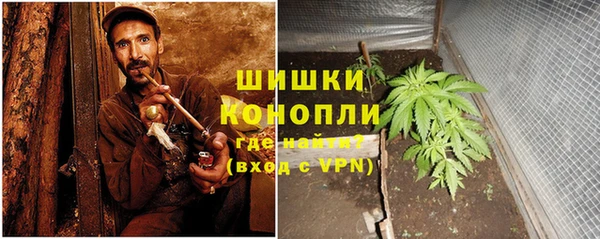 прущие грибы Кулебаки