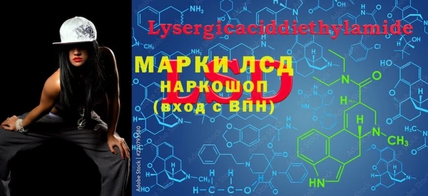 прущие грибы Кулебаки