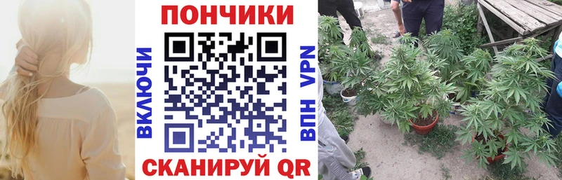 Купить Элиста МАРИХУАНА семена